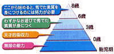 七田式　才能逓減の方