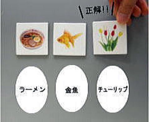 メモリーチップ リンク法