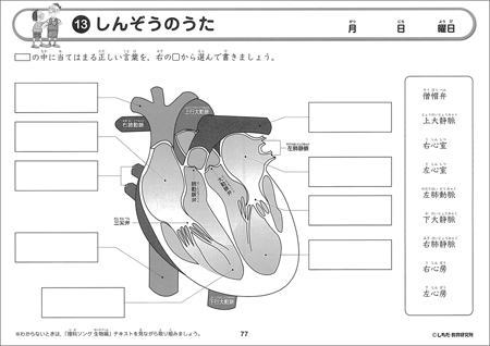 理科ソングプリント生物編　しんぞうのうた