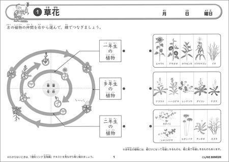 理科ソングプリント生物編　草花