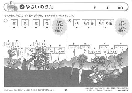 理科ソングプリント生物編　野菜の歌